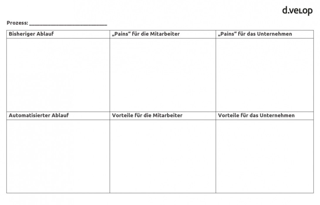 Analyseraster-Prozesse-dvelop