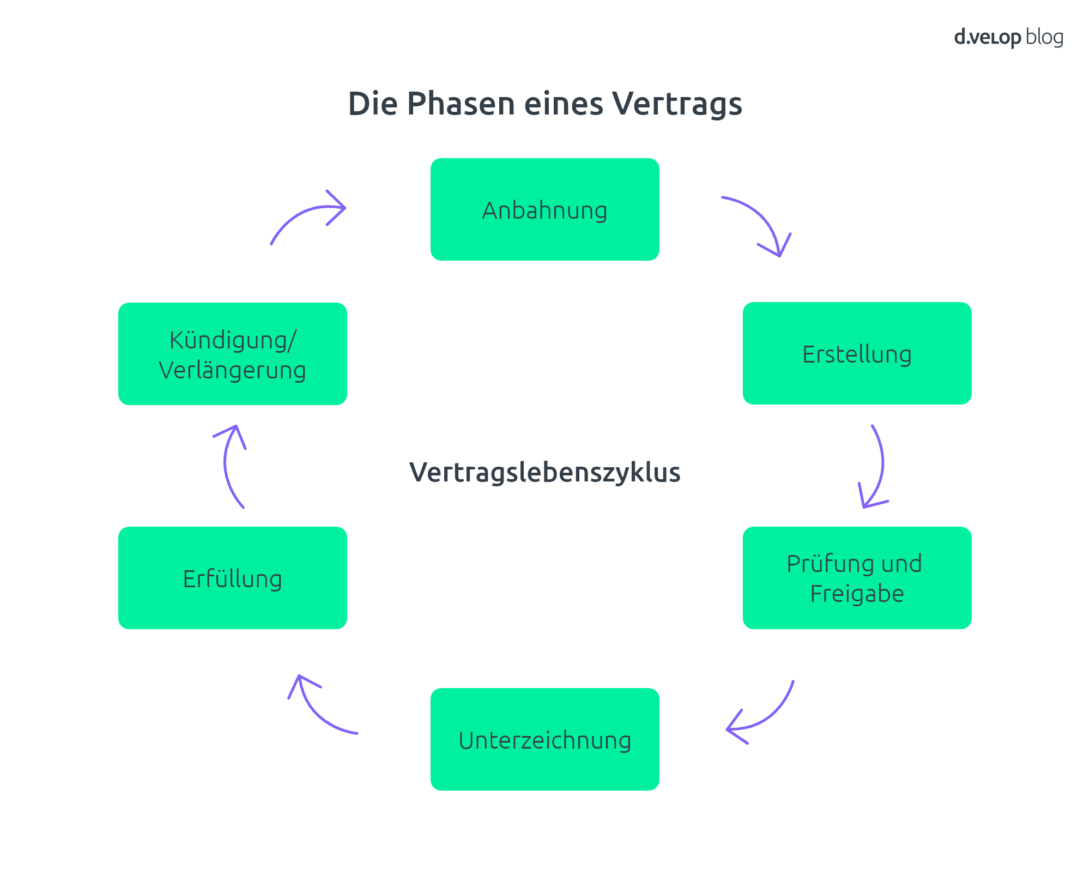 Infografik Phasen des Vertragslebenszyklus