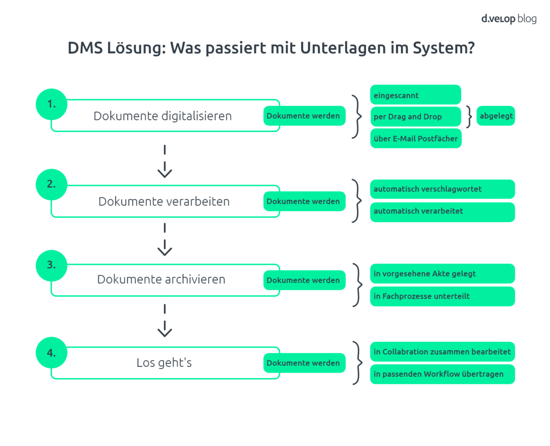 Infografik DMS Lösung