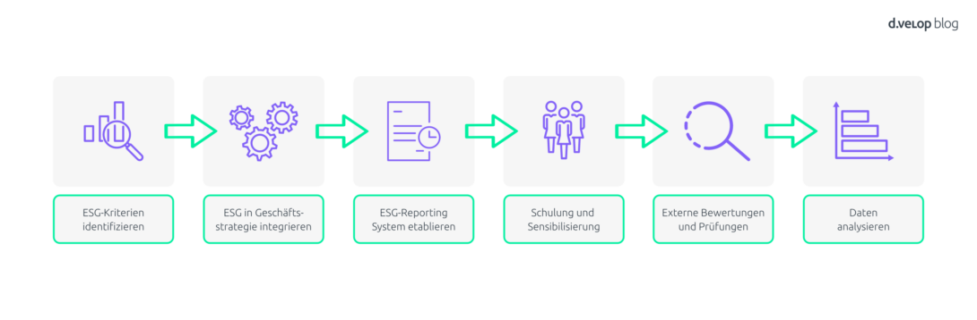 Infografik Sustainable Finance Nachhaltigkeitsberichterstattung