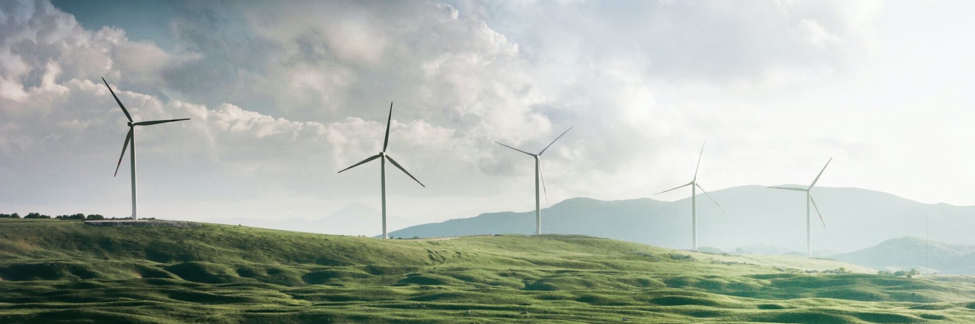 Beitragsbild Digitalisierung erneuerbare Energien