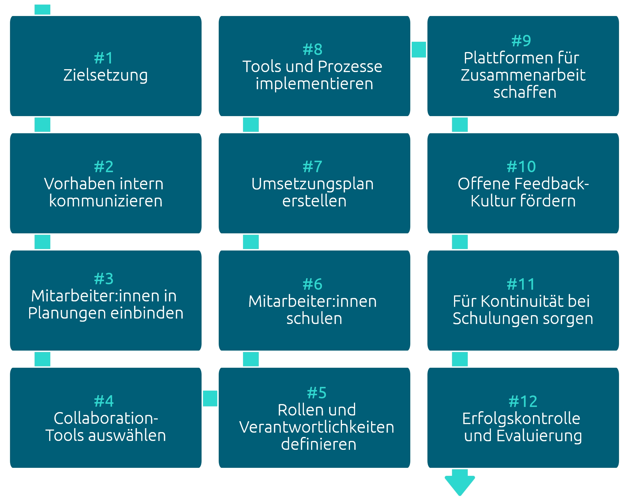 Infografik zeigt 12 Schritte zum Remote-Teamwork im Unternehmen