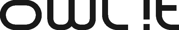 Logo in Schwarz owlit