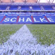 Rasen und Tribüne des Schalke Stadions