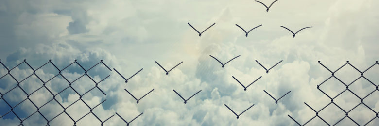 d.velop Blogbeitrag zum Thema E-Mail-Archivierungspflicht