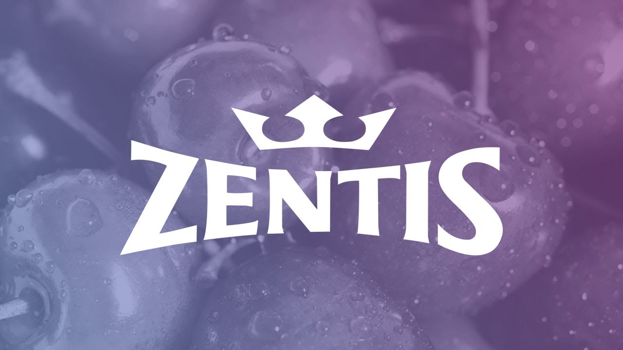 Zentis - die digitale Innovation der internen Prozesse mit d.velop AG