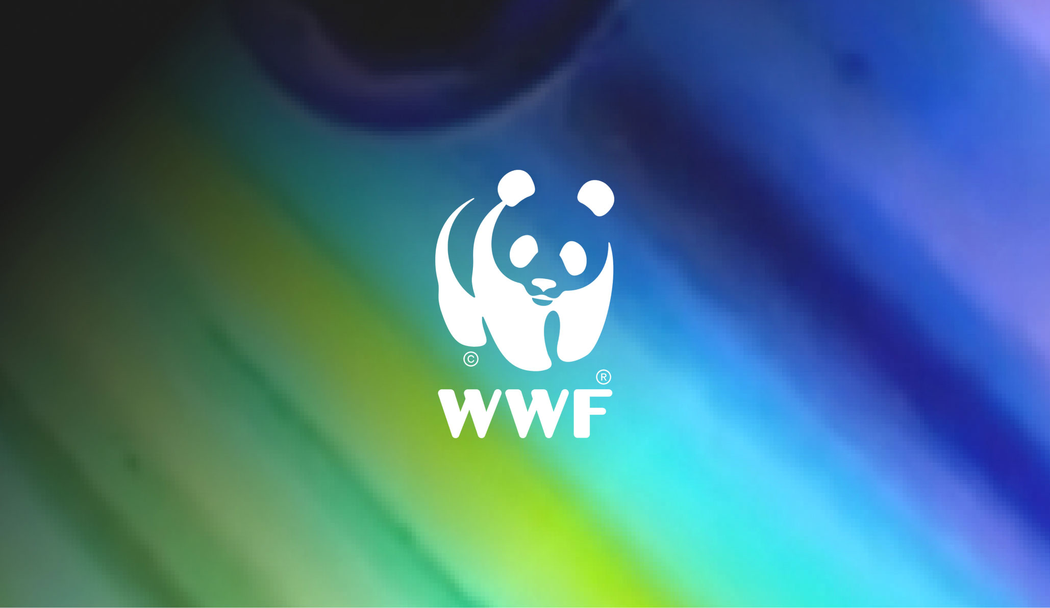Kundenvortrag Logo WWF