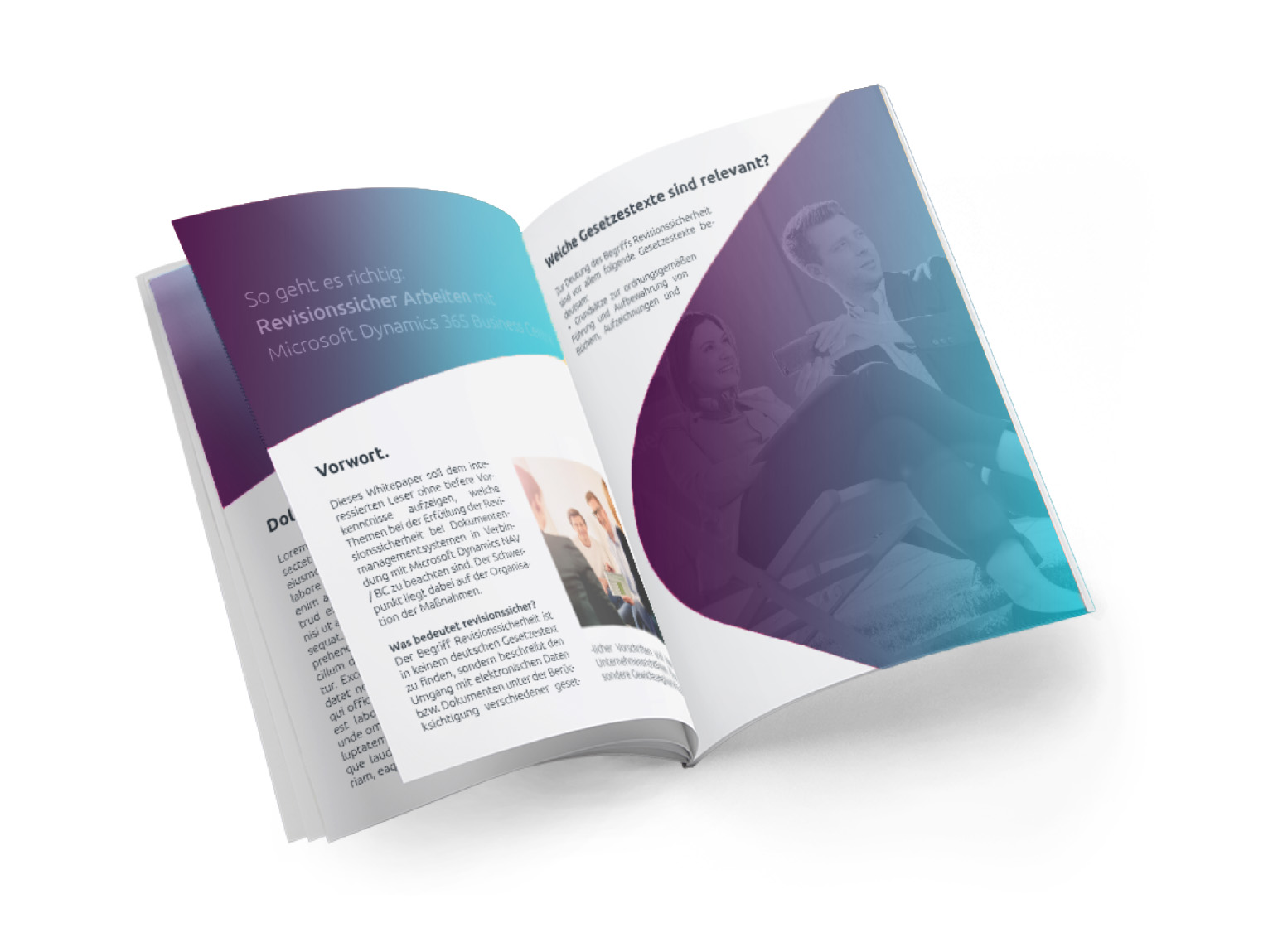 Mit Dynamics Business Central Revisionssicher Arbeiten