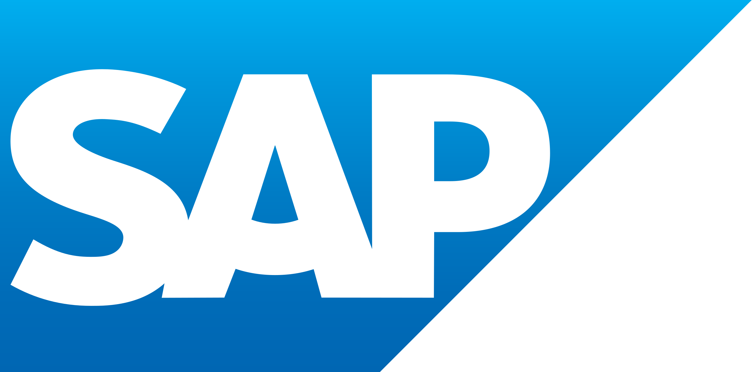 SAP Partner