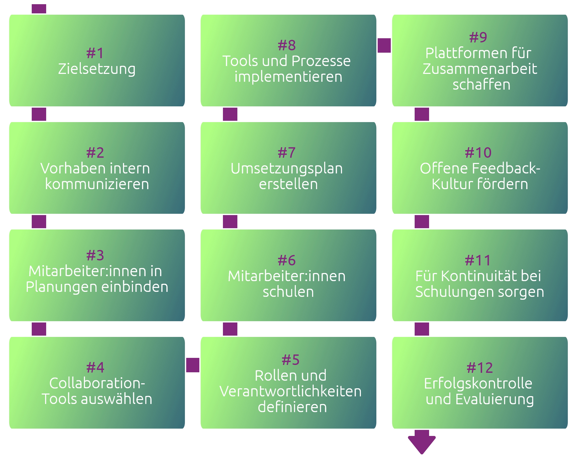 Infografik zeigt 12 Schritte zum Remote-Teamwork im Unternehmen