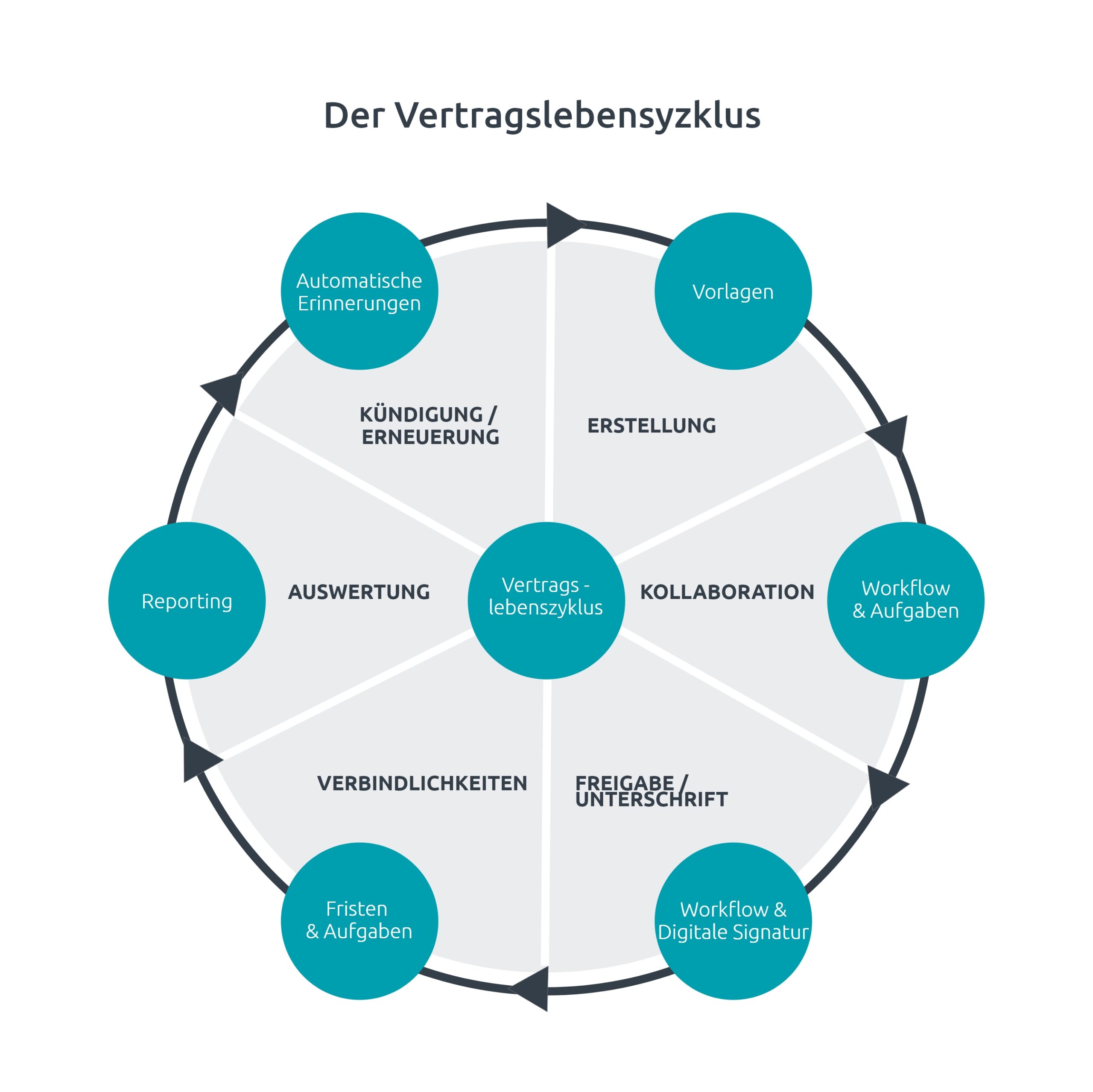 Infografik zeigt den Vertragslebenszyklus