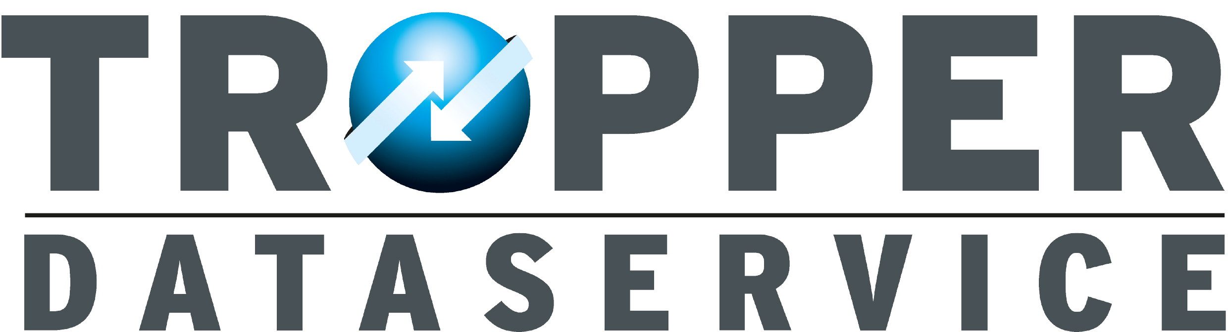 TROPPER DATA SERVICE AG